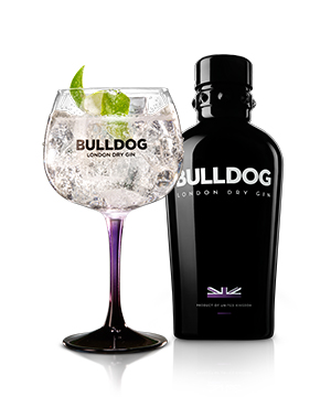 ג'ין בולדוג + כוס מתנה 