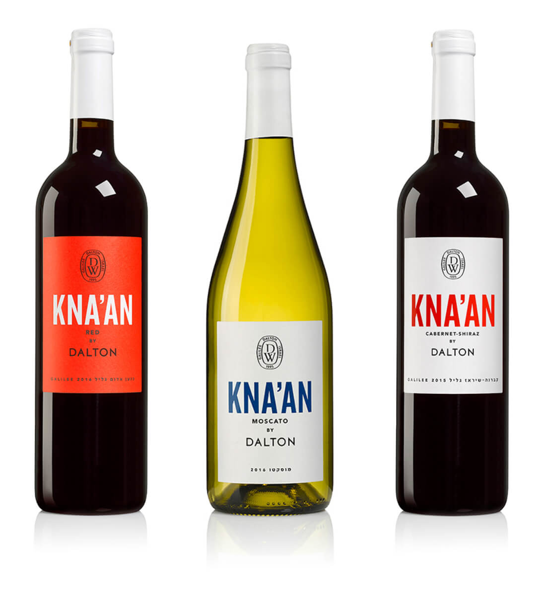 דלתון כנען 3 יח'