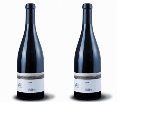 הרי גליל מירון 2 יח'