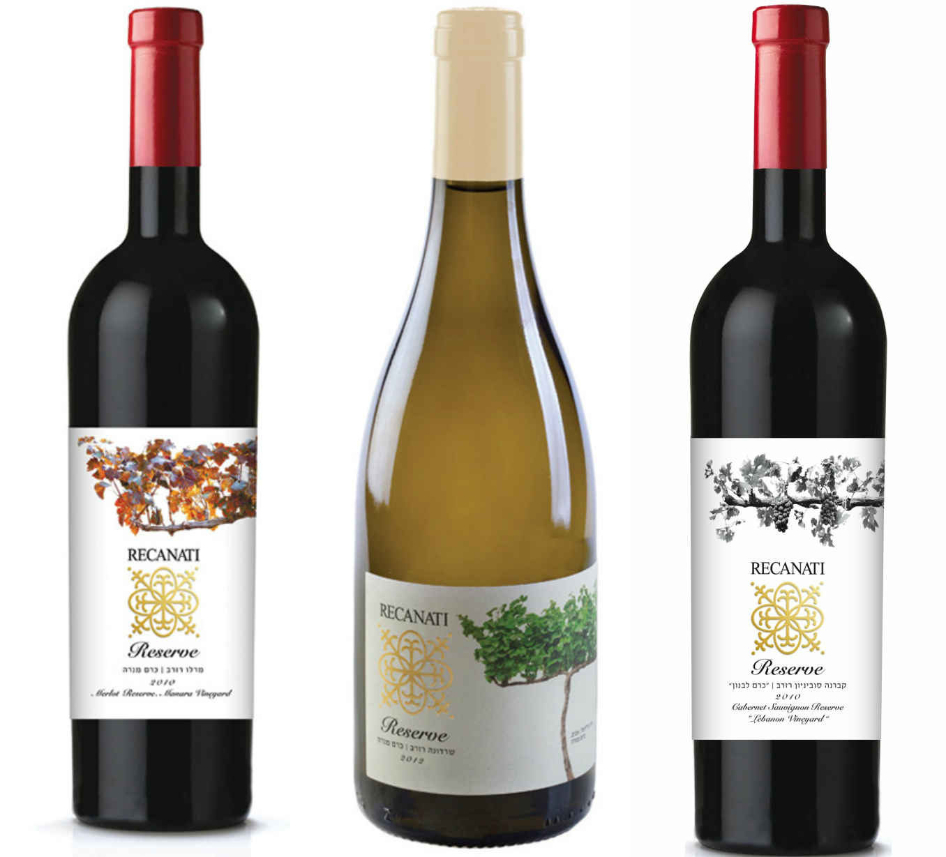 רקנאטי שרדונה/מרלו/ק.סבניון  רזרב 2 יח'