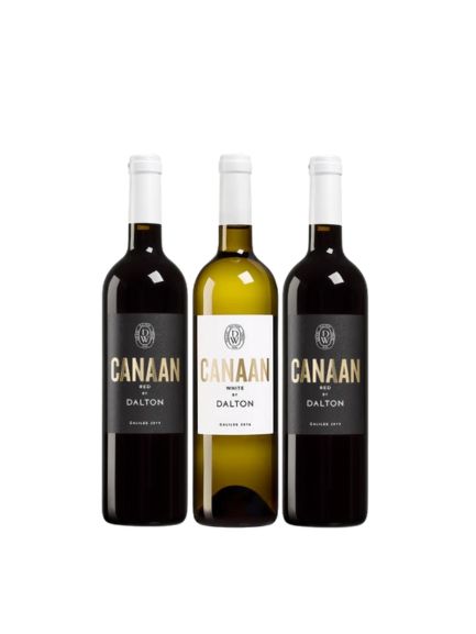 דלתון כנען 3 יח'